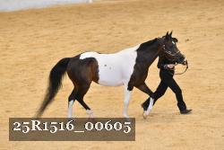 25R1516_00605 thumbnail