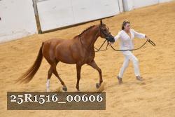 25R1516_00606 thumbnail