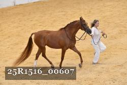 25R1516_00607 thumbnail