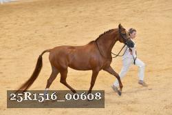 25R1516_00608 thumbnail