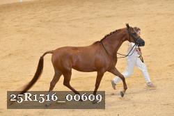 25R1516_00609 thumbnail