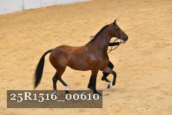 25R1516_00610 thumbnail