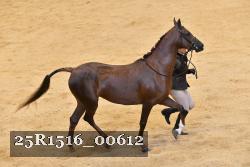 25R1516_00612 thumbnail