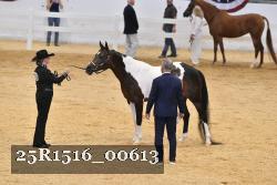 25R1516_00613 thumbnail