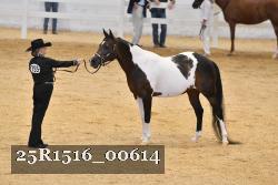25R1516_00614 thumbnail