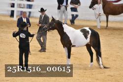 25R1516_00615 thumbnail