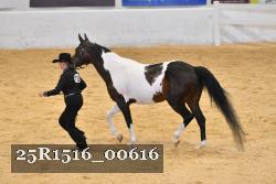 25R1516_00616 thumbnail