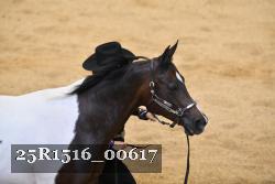 25R1516_00617 thumbnail