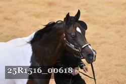 25R1516_00618 thumbnail