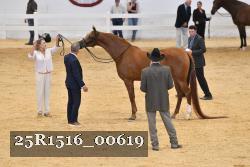 25R1516_00619 thumbnail