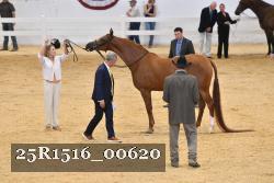 25R1516_00620 thumbnail