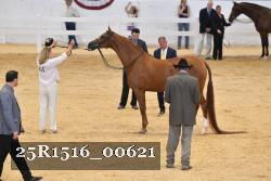25R1516_00621 thumbnail
