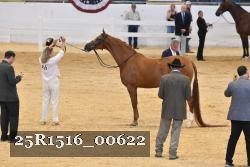 25R1516_00622 thumbnail