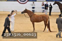 25R1516_00623 thumbnail