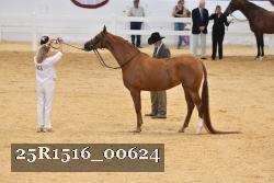 25R1516_00624 thumbnail