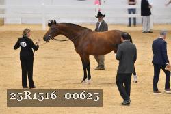 25R1516_00625 thumbnail