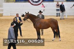 25R1516_00626 thumbnail
