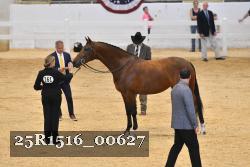 25R1516_00627 thumbnail