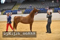 25R1516_06888 thumbnail