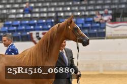 25R1516_06889 thumbnail