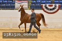 25R1516_06890 thumbnail