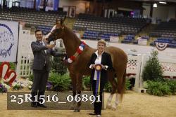 25R1516_06891 thumbnail