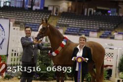 25R1516_06893 thumbnail