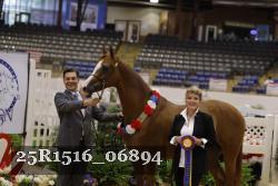 25R1516_06894 thumbnail