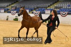 25R1516_06895 thumbnail