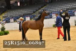25R1516_06897 thumbnail
