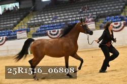 25R1516_06898 thumbnail
