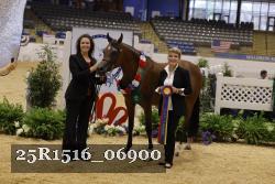 25R1516_06900 thumbnail