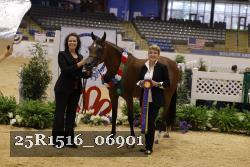 25R1516_06901 thumbnail