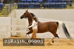 25R1516_06905 thumbnail