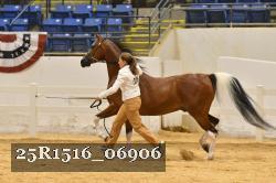 25R1516_06906 thumbnail