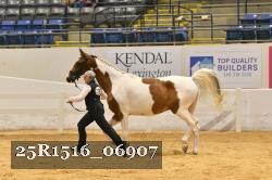 25R1516_06907 thumbnail
