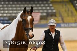 25R1516_06908 thumbnail