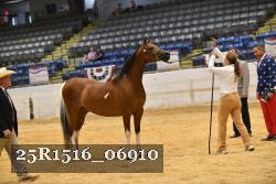 25R1516_06910 thumbnail