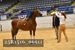 25R1516_06911 thumbnail