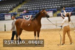 25R1516_06912 thumbnail