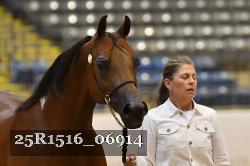 25R1516_06914 thumbnail
