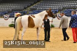 25R1516_06915 thumbnail