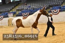 25R1516_06916 thumbnail