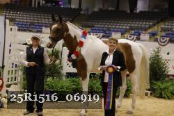 25R1516_06919 thumbnail