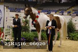 25R1516_06920 thumbnail
