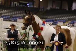 25R1516_06921 thumbnail