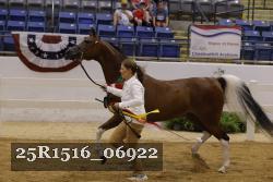 25R1516_06922 thumbnail