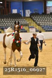 25R1516_06927 thumbnail