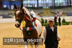 25R1516_06928 thumbnail