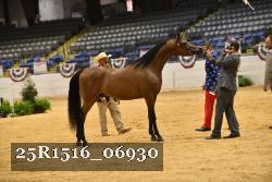 25R1516_06930 thumbnail